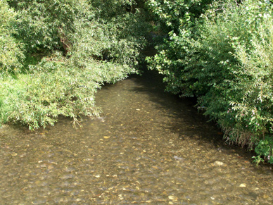 Oberlauf der Werra in Thüringen