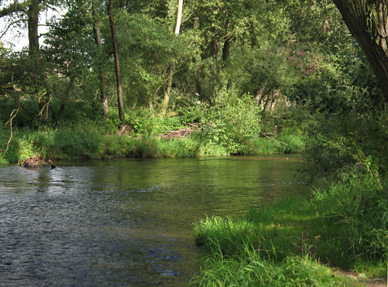 Fliegenfischen an der Werra in Thüringen