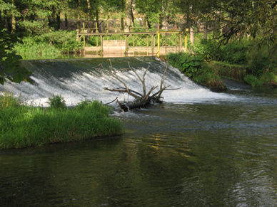 Angeln an der Werra in Thüringen