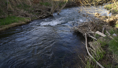 Angeln an der Wipper bei Nordhausen