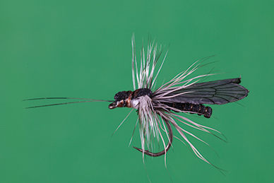 Trockenfliehe / Dryfly von j:son Flies