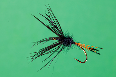 Tenkara - Trockenfliege