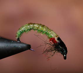 Fliegenfischen mit Köcherfliegenlarven