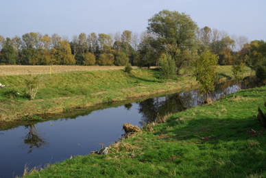 Die Unstrut bei Bollstedt, hier wird viel geangelt