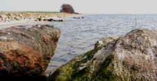 An der Ostsee in Dänemark auf Meerforelle