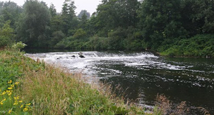 Im Juli 2009 Fliegenfischen an der Werre bei Bad Oeynhausen