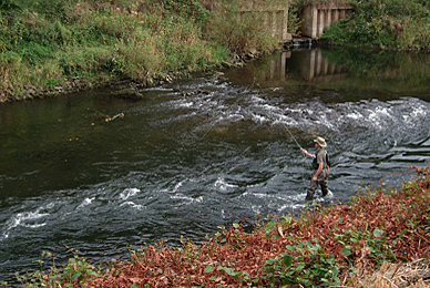 Angeln und Fliegenfischen in Nordrhein-Westfalen, hier in Bad Oeynhausen