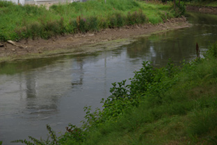 Wenig Wasser in der Wiesent bei Waischenfeld