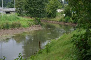 Niedrigwasser an der Wiesent