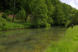 Fliegenfischerkurs an der Wiesent in Bayern