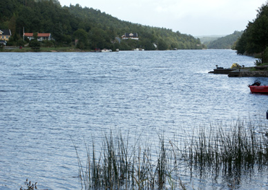 Mandalselva in Norwegen, Zone 1