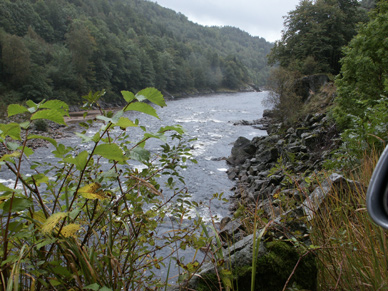 Mandalselva in Norwegen, Zone 2