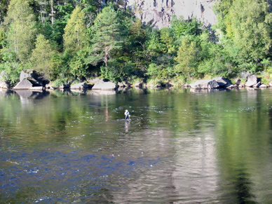 Mandalselva in Norwegen, Zone 3